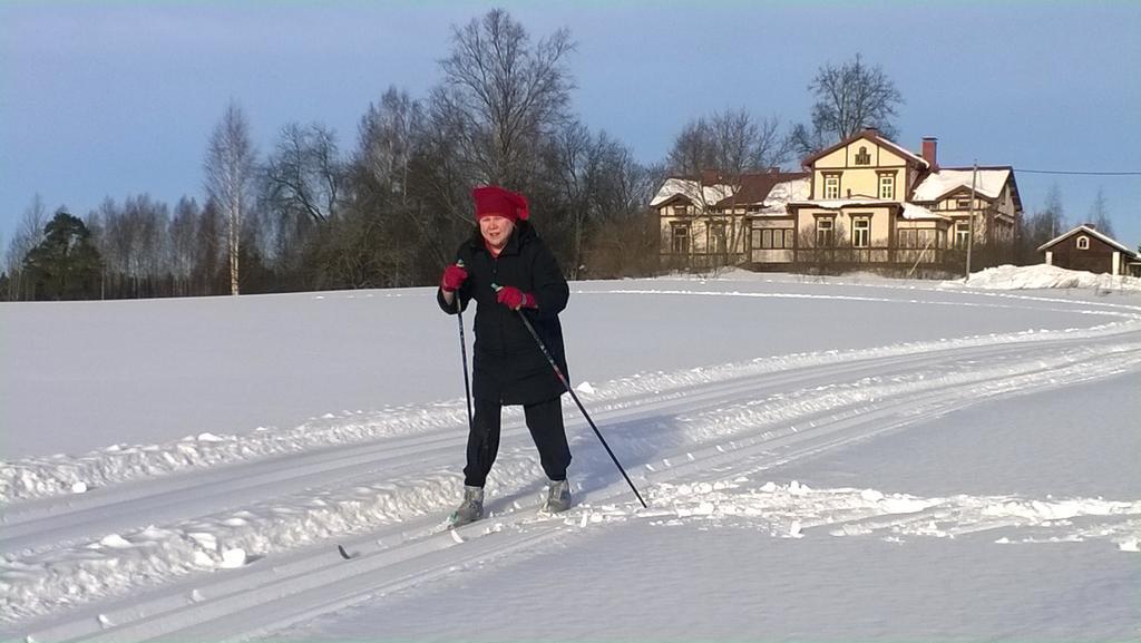 Loeydoen Kartano Hotel Ristiina Bagian luar foto